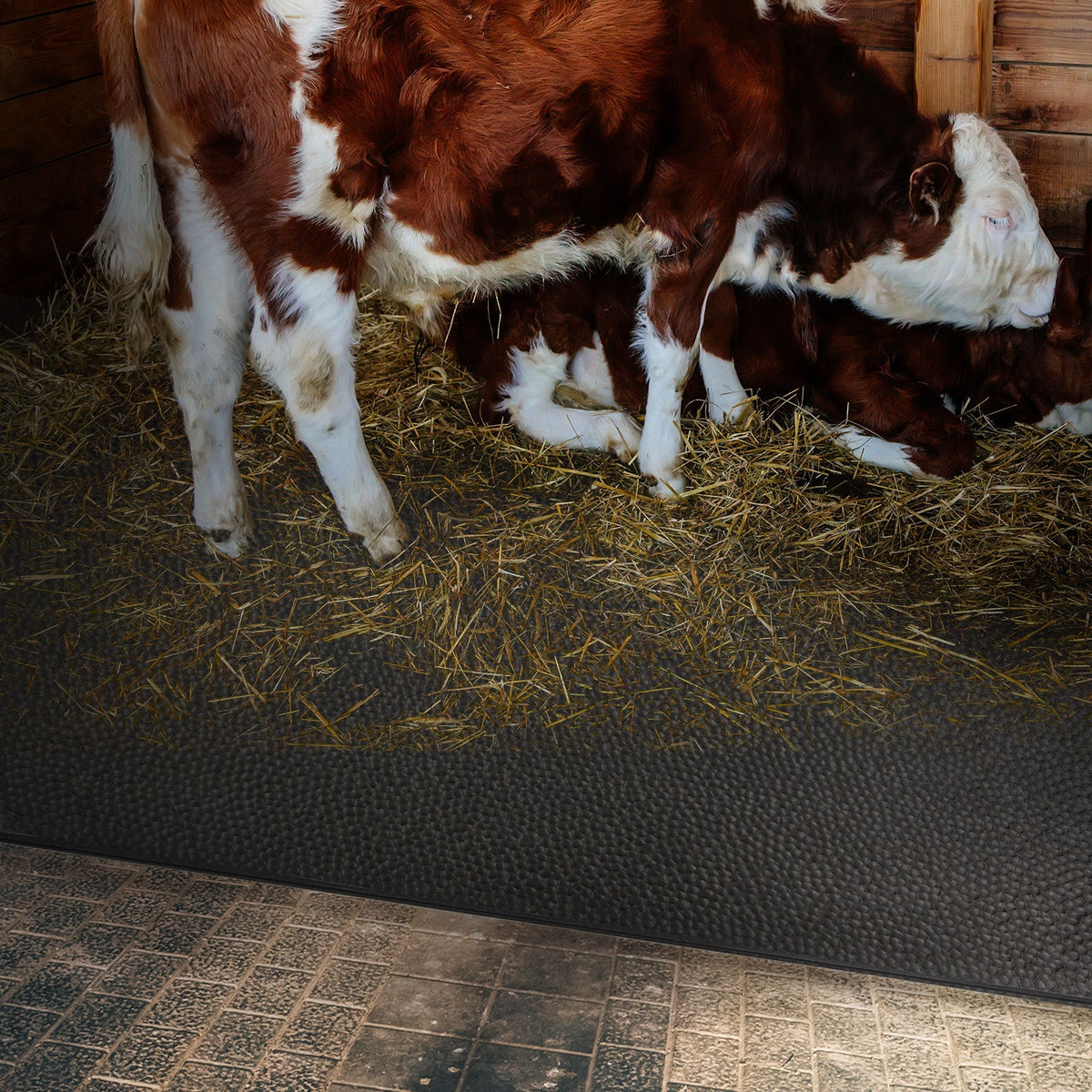 ✂ Cow Bed Matress | GW4005 | Stärke: 4,5 mm | Breite: 200 cm